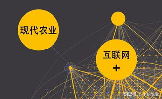 豐信農業 互聯網 時代下的新農業